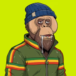 RH Orangs #1121