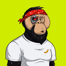RH Orangs #1490