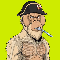 RH Orangs #1374