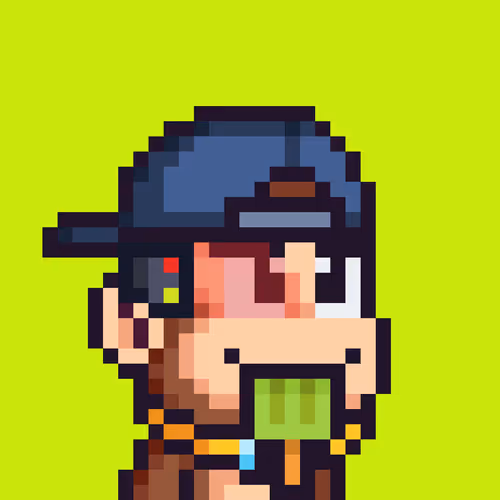 Pixel Monkey Hood #1822