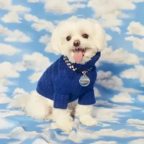 TOBY