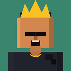 Voxel Punk #1100