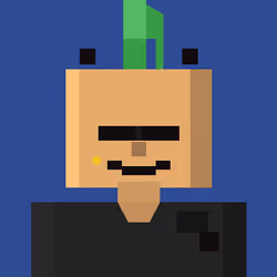Voxel Punk #2489