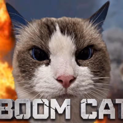 BOOMCAT
