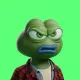 Hood $PEPE #166
