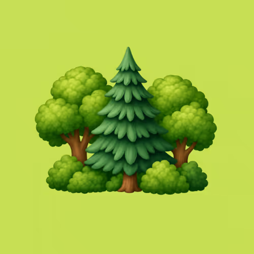 WOODS