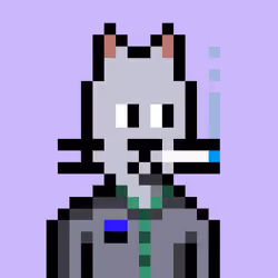 Purrfolio #7609