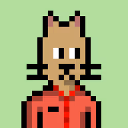 Purrfolio #8503