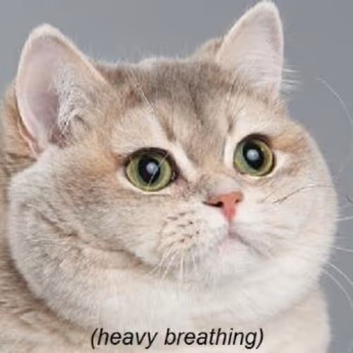 HEAVYBREATHING