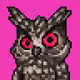 The Owlery #600