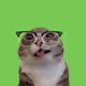 CHAOSCATS #68