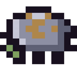 Pond Tortoise