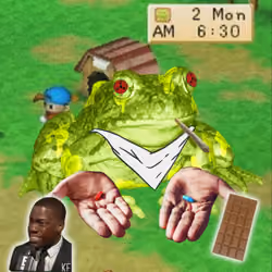Item Media