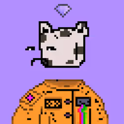 PXCC #8