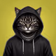 HOOD CATS