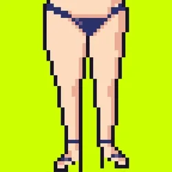 Assette #555