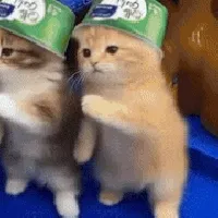 GATO