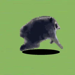 2168