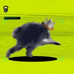 Item Media