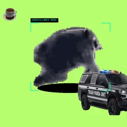 3164