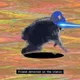 2444