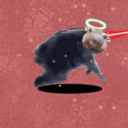 4921
