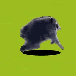 5260