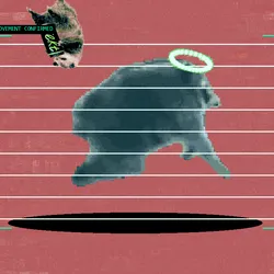 2196