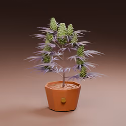 WEST WEED #0223