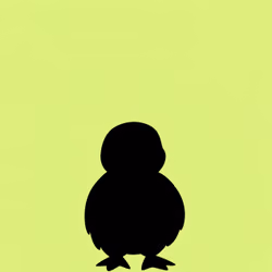 Mowl Pecca