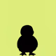 Mowl Pecca