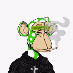 2564