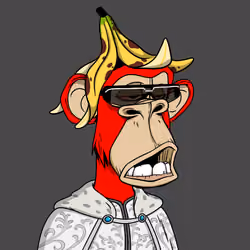 2558