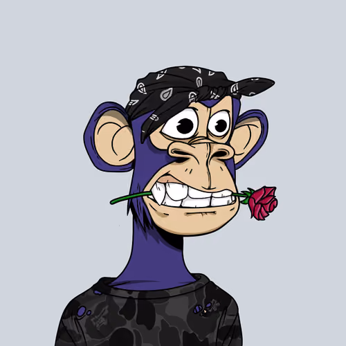2597