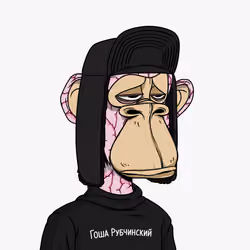 50
