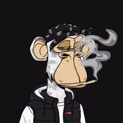 2065