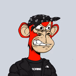 1246