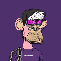 2043