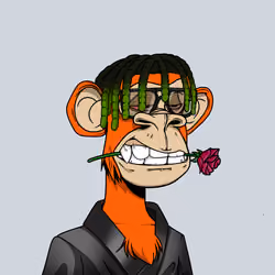 1558