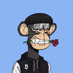 683