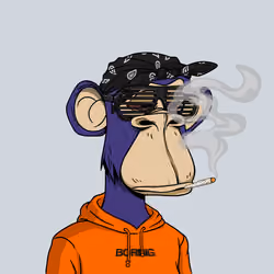 3193