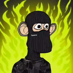 509