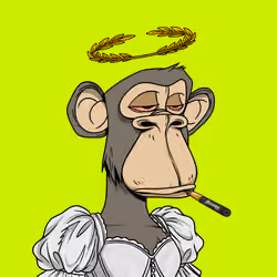 204