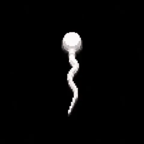 Specimen #369 [MIGRATED]