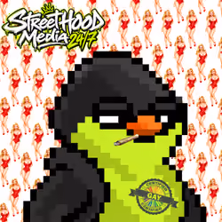 SKNOTS  #496