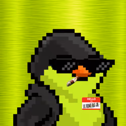SKNOTS  #2138