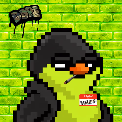 SKNOTS  #3267