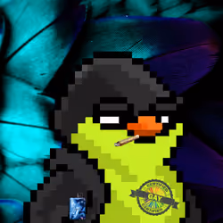 SKNOTS  #2481
