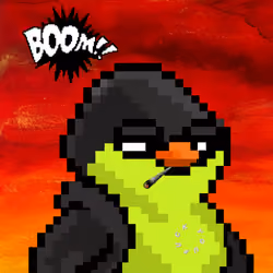 SKNOTS  #2265