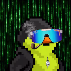 SKNOTS  #2632